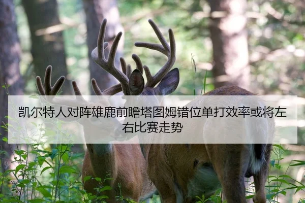 凯尔特人对阵雄鹿前瞻塔图姆错位单打效率或将左右比赛走势